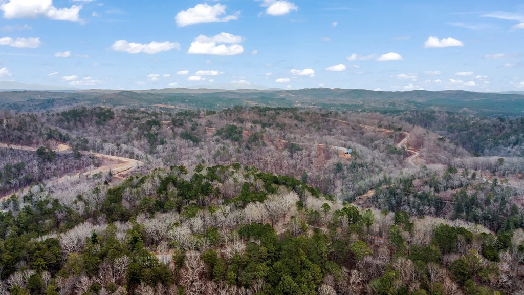 lot 1694 Shade Tree Drive