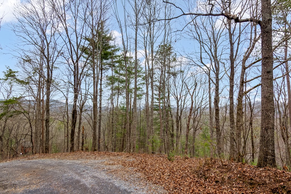 lot 1694 Shade Tree Drive