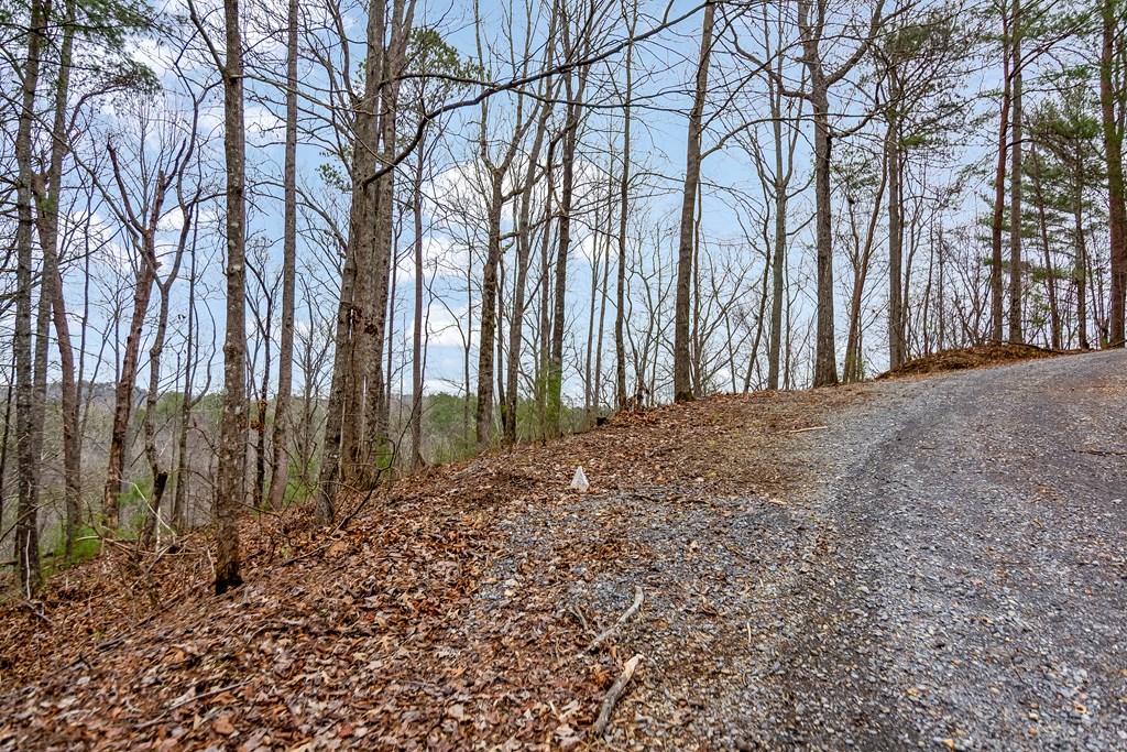 lot 1694 Shade Tree Drive