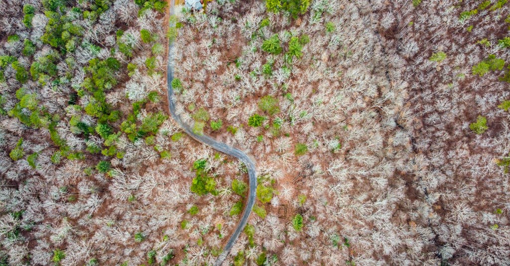 lot 1694 Shade Tree Drive