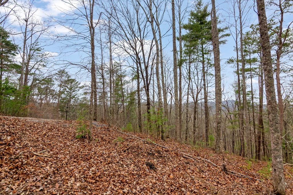 lot 1694 Shade Tree Drive