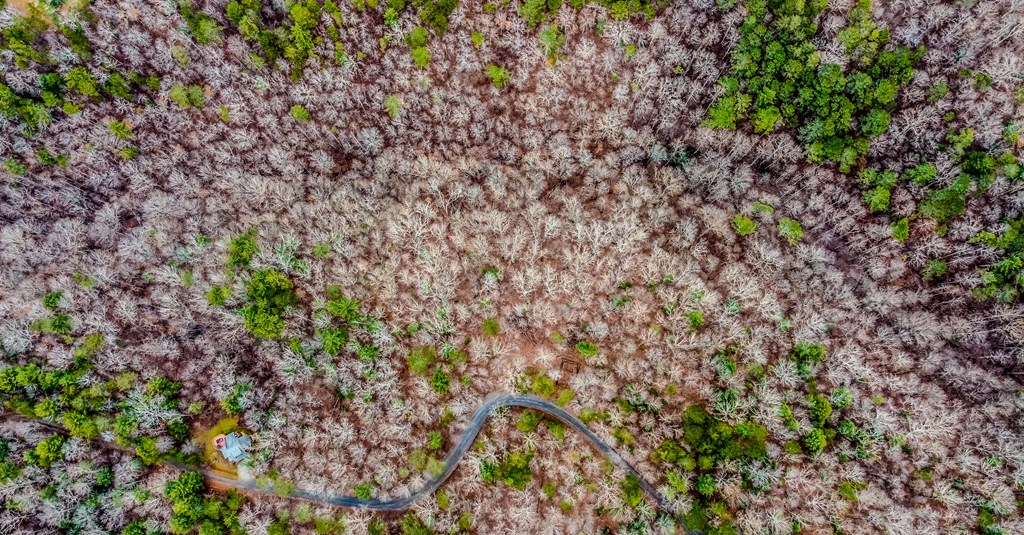 lot 1694 Shade Tree Drive