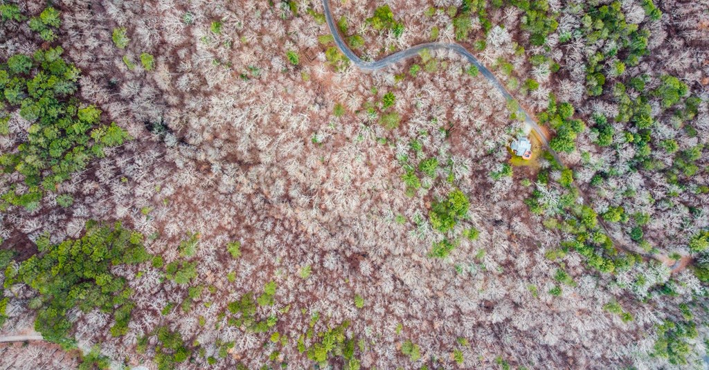 lot 1694 Shade Tree Drive