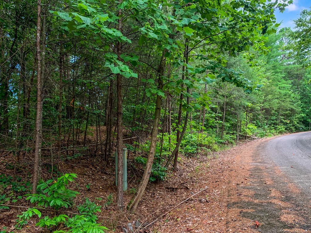 Lot 17 Misty Mountain Trail