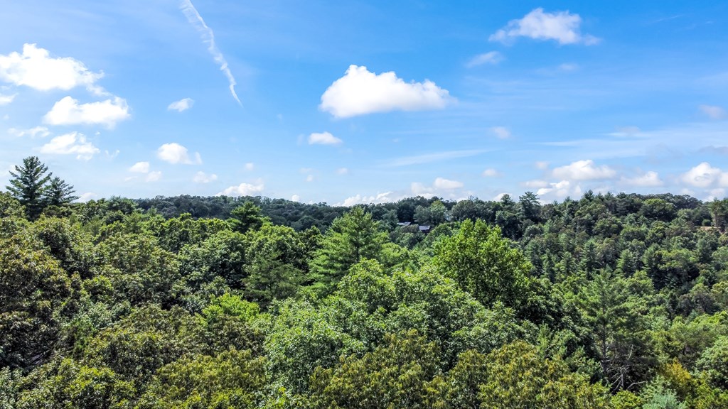 Lot 17 Misty Mountain Trail