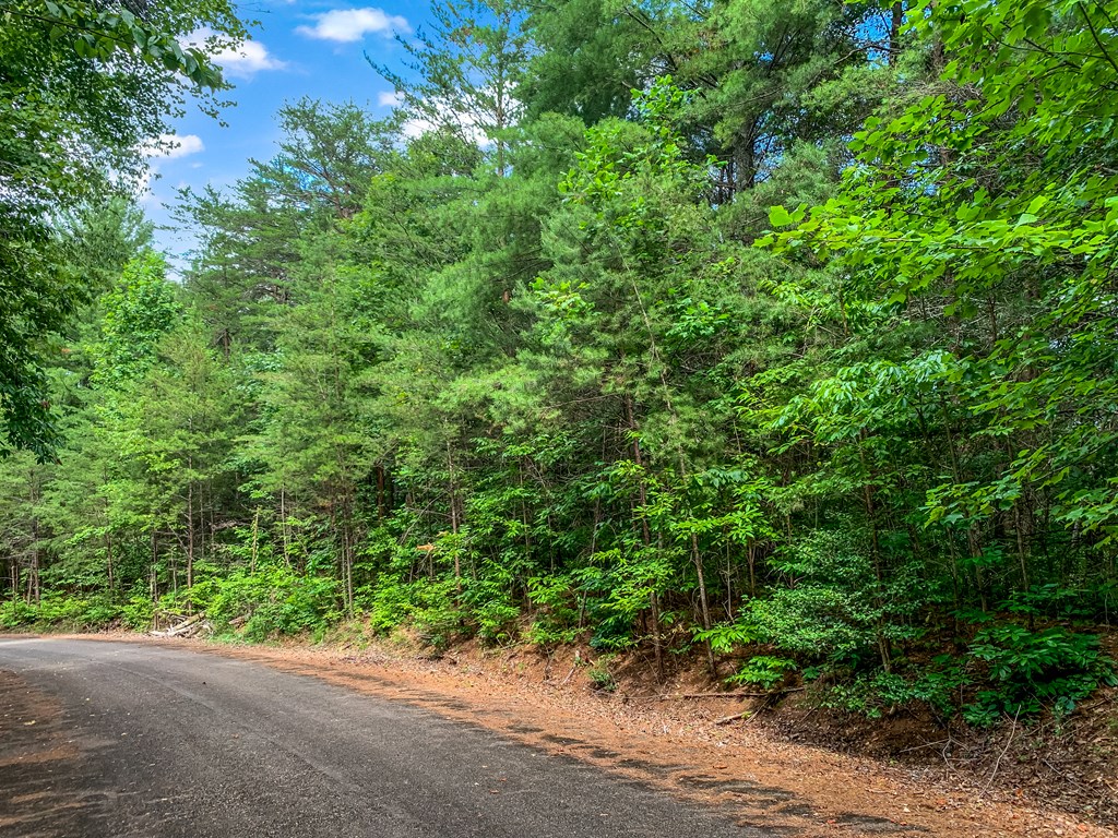 Lot 17 Misty Mountain Trail