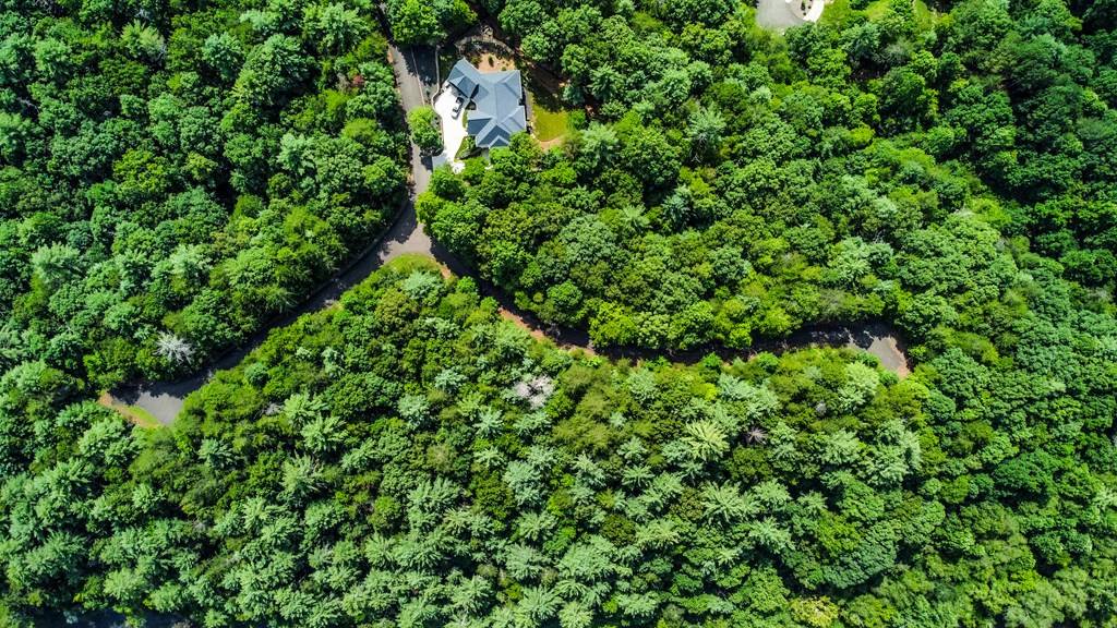 Lot 17 Misty Mountain Trail