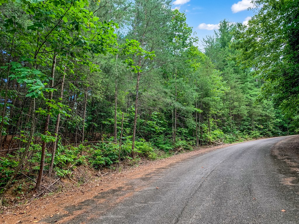 Lot 17 Misty Mountain Trail