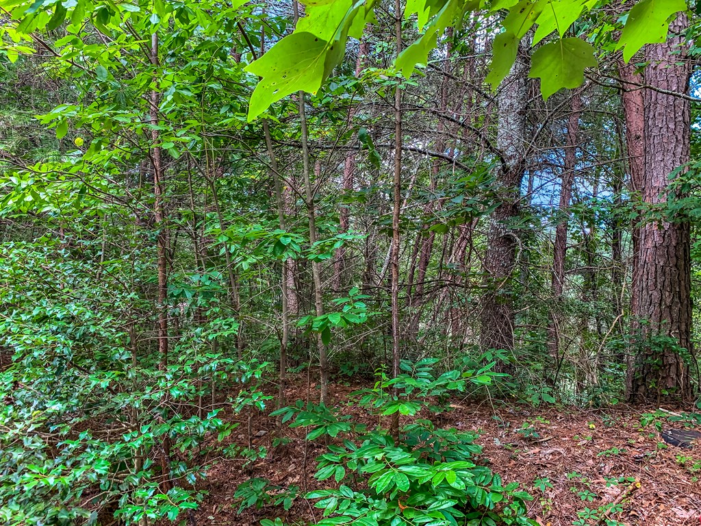 Lot 17 Misty Mountain Trail