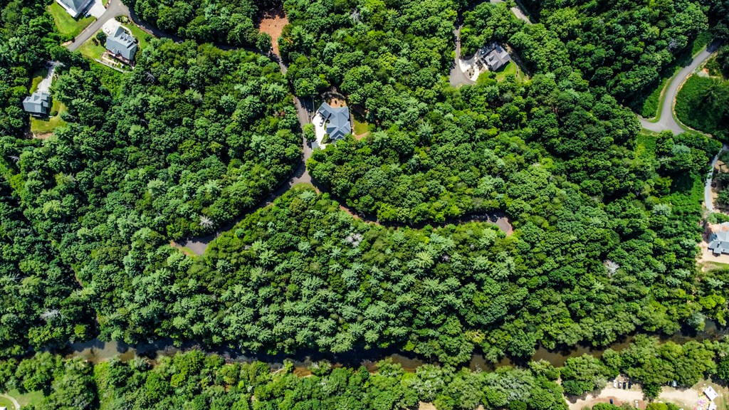 Lot 17 Misty Mountain Trail