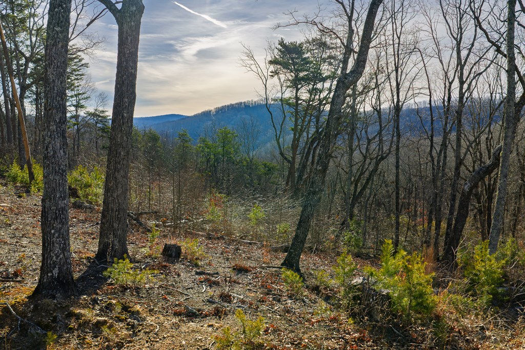 Lot 52 High Summit Drive