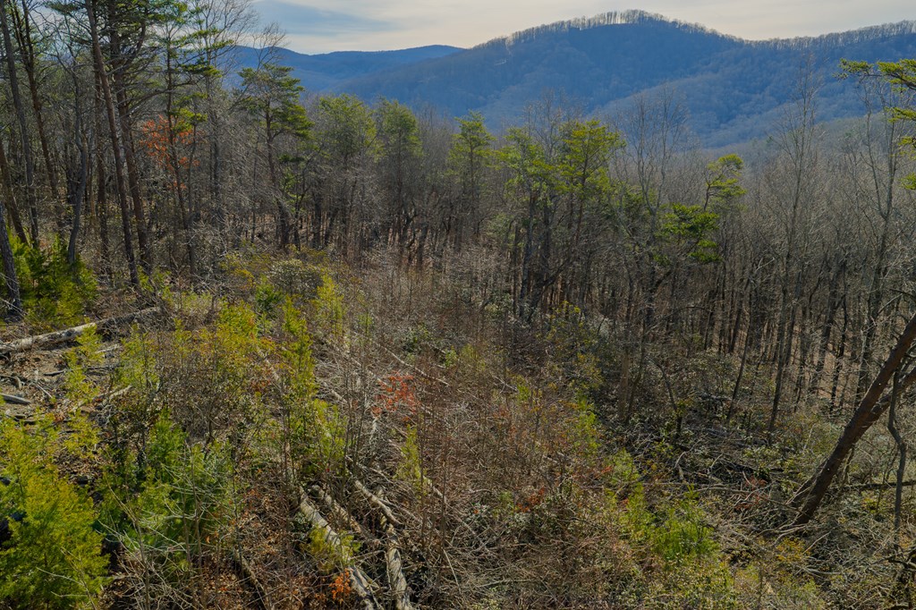 Lot 52 High Summit Drive