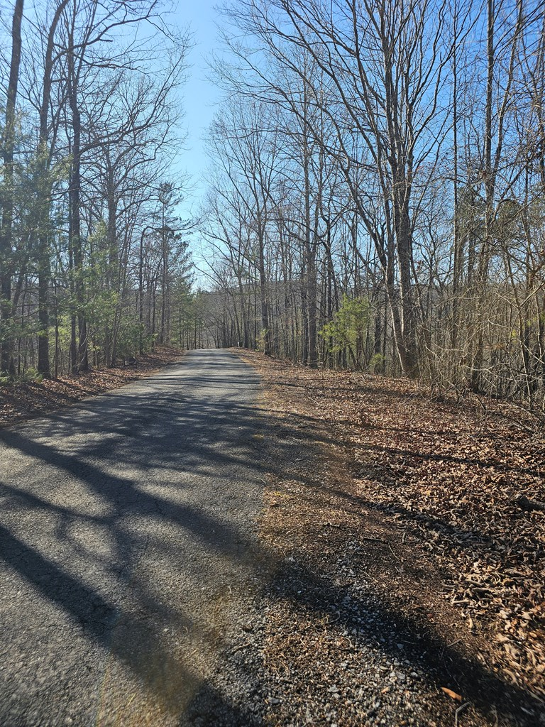 1.16 Marie Drive