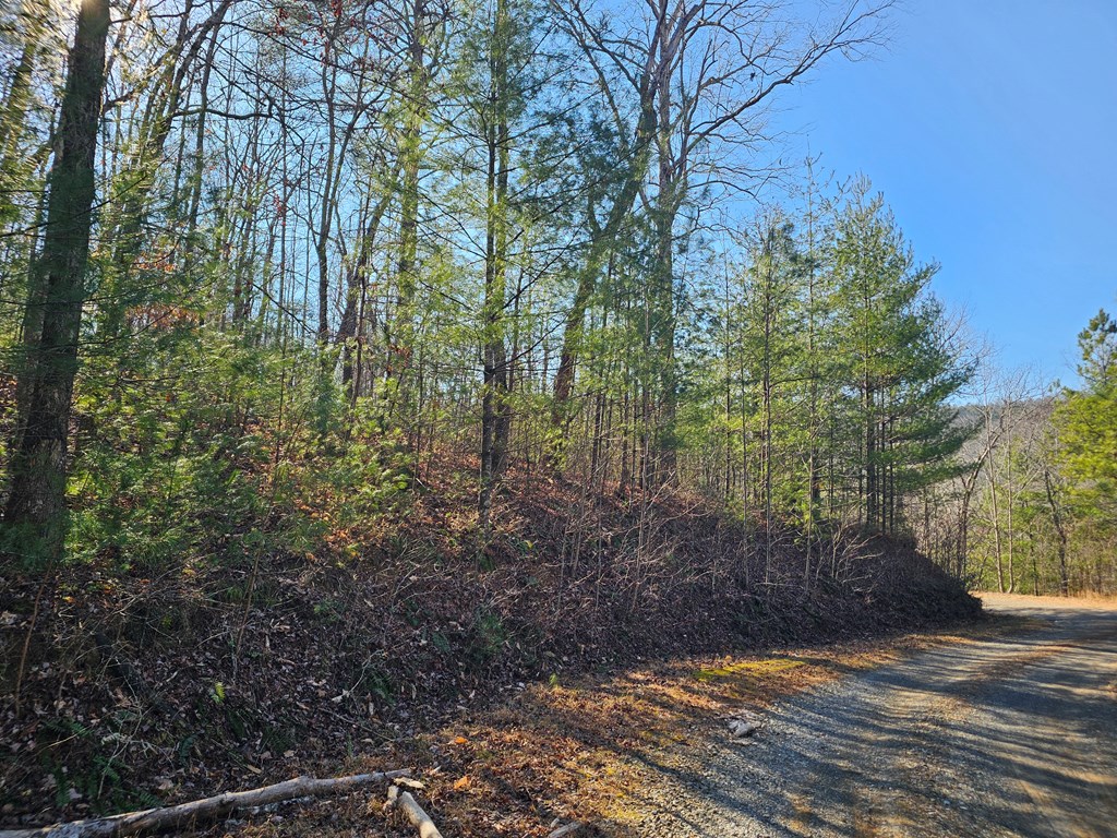 1.16 Marie Drive