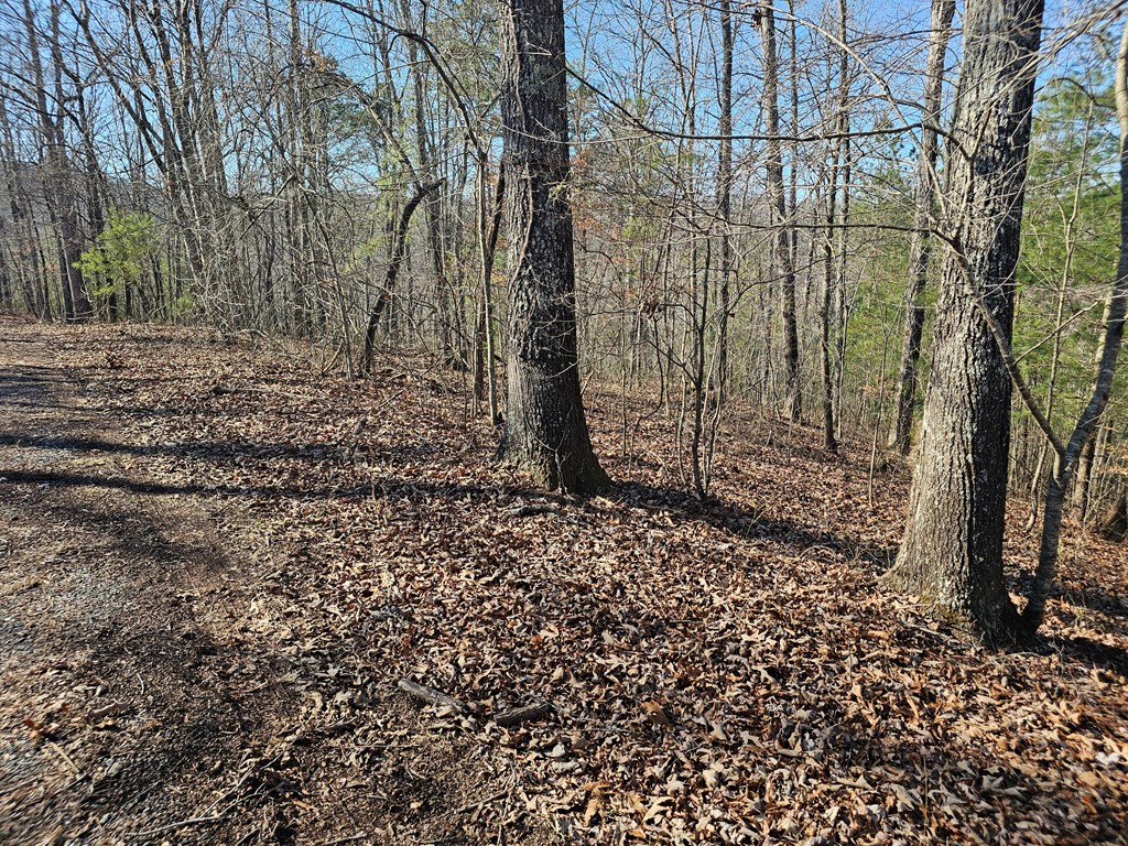 1.16 Marie Drive