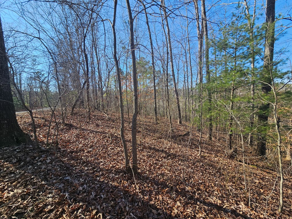 1.16 Marie Drive