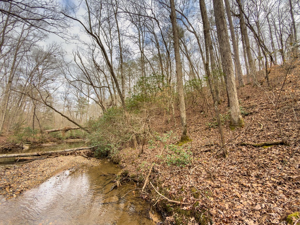 L156&157 Harris Creek Drive