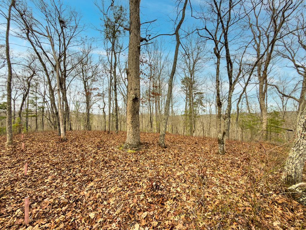 L156&157 Harris Creek Drive