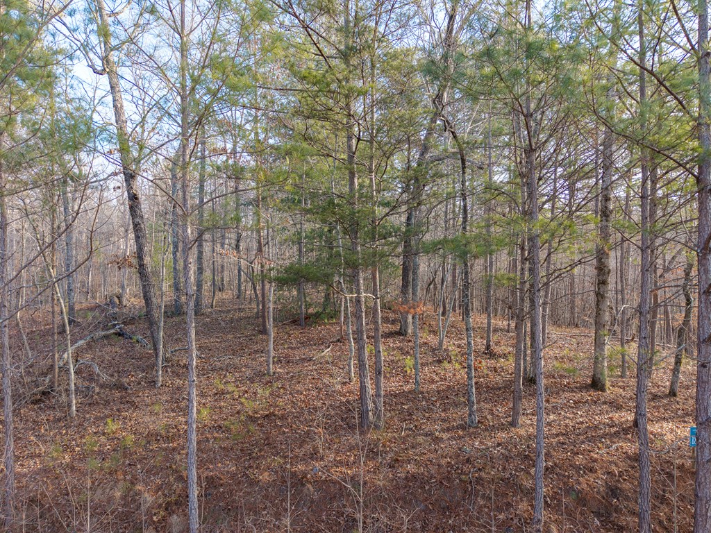Lt 186 Harris Ridge Lane