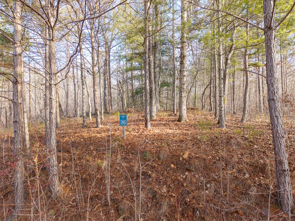 Lt 186 Harris Ridge Lane