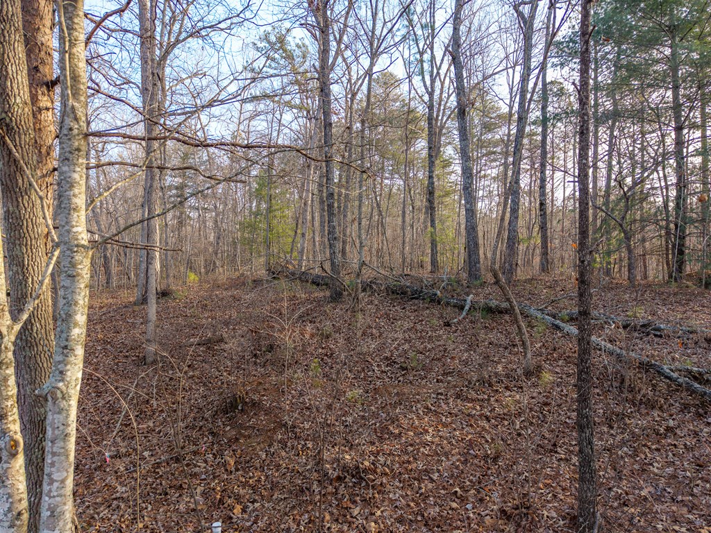 Lt 186 Harris Ridge Lane