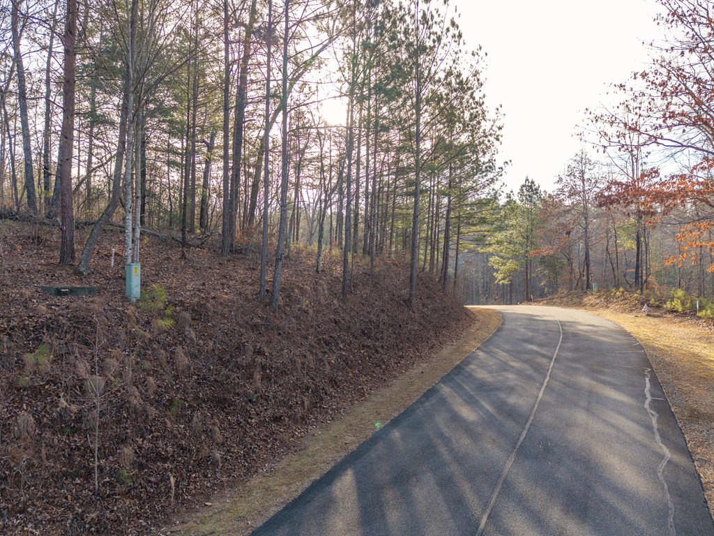 Lt 186 Harris Ridge Lane