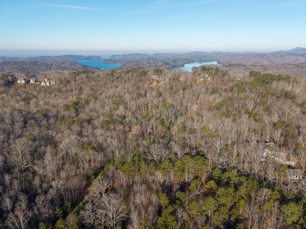 Lt 186 Harris Ridge Lane