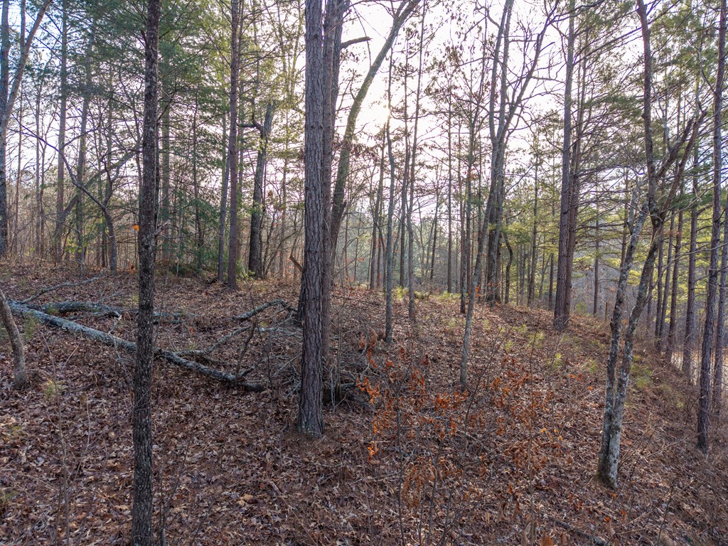 Lt 186 Harris Ridge Lane