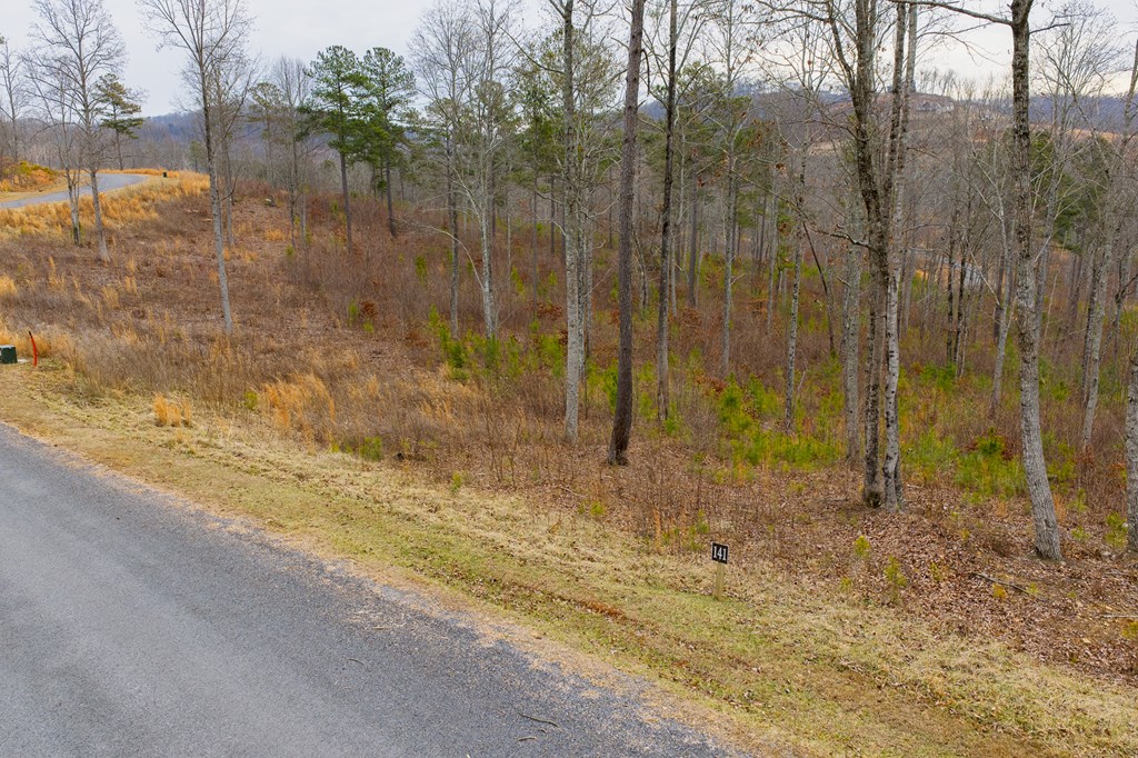 Lot 141 Twisted Oak Road