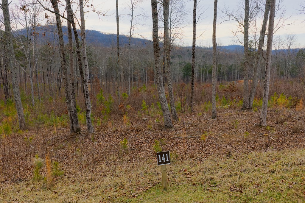 Lot 141 Twisted Oak Road