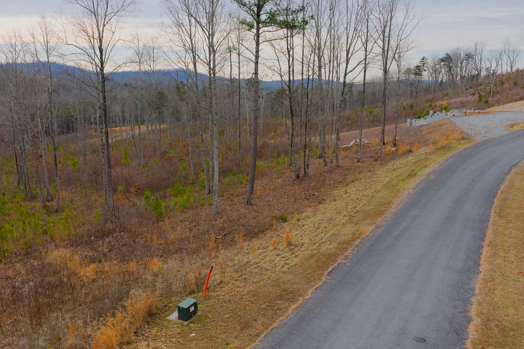 Lot 141 Twisted Oak Road