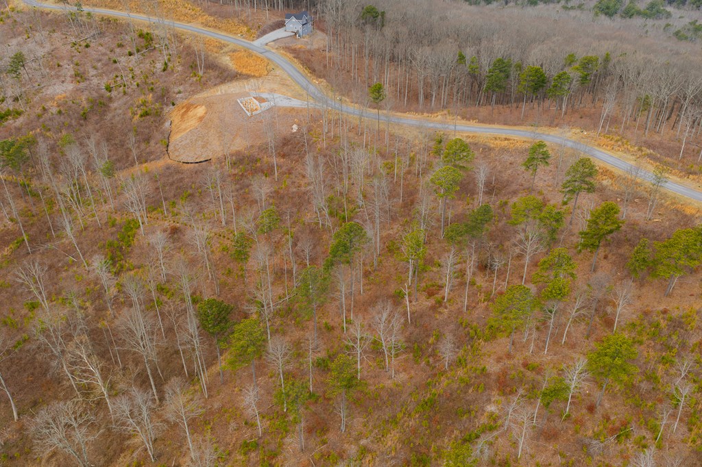 Lot 141 Twisted Oak Road