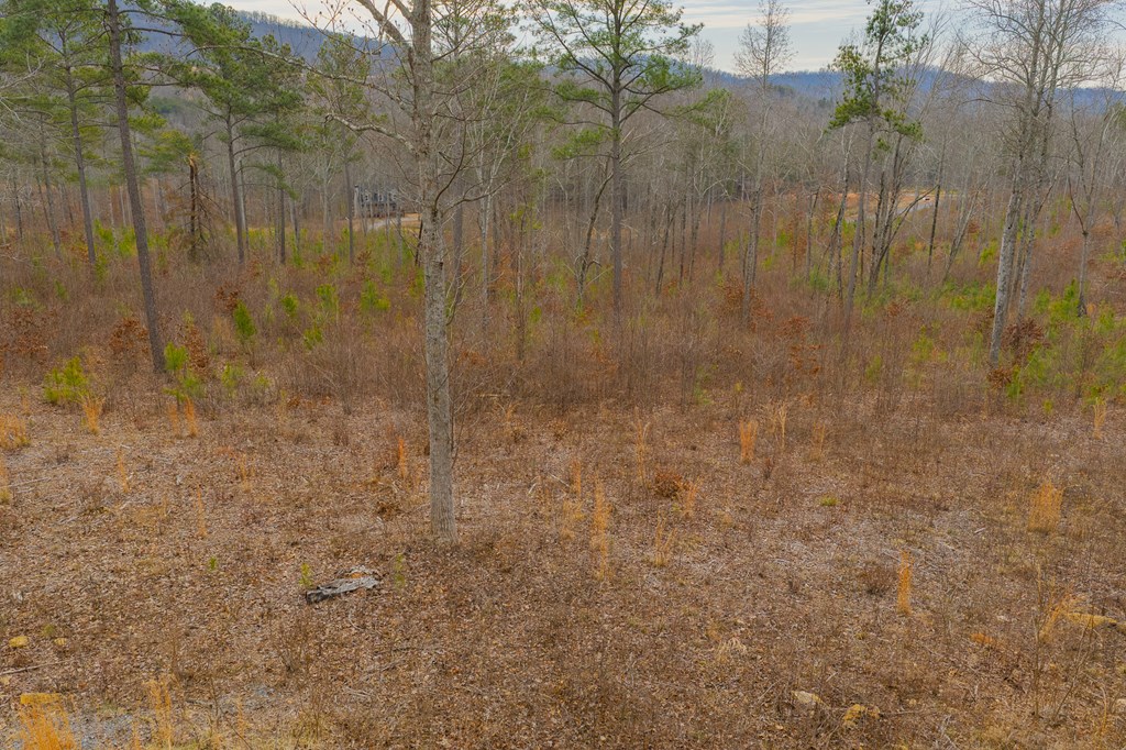 Lot 142 Twisted Oak Road