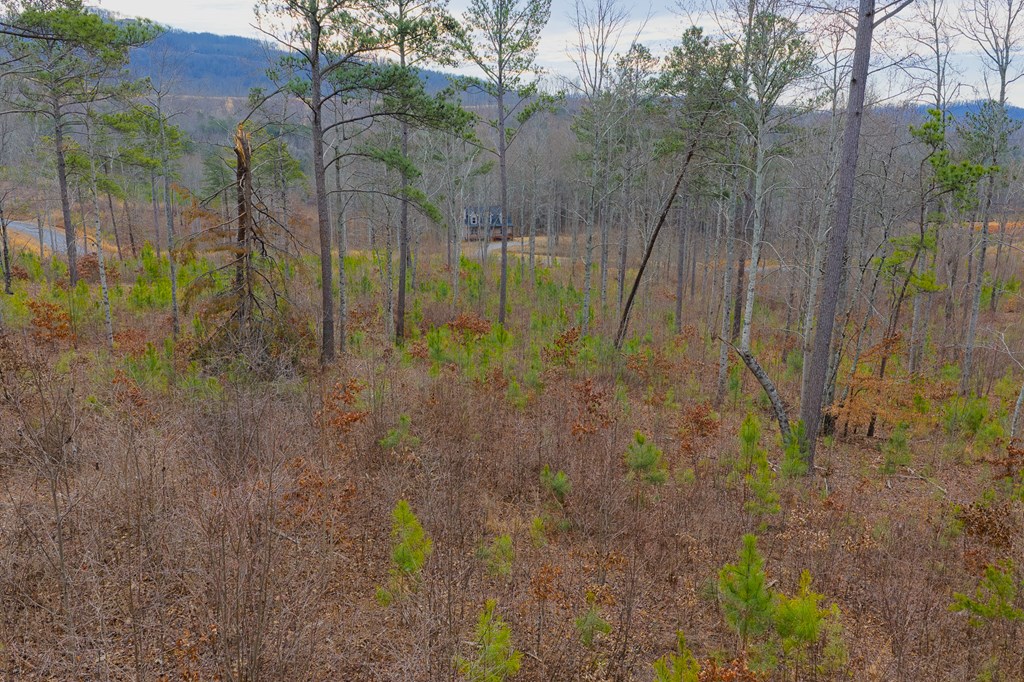 Lot 142 Twisted Oak Road