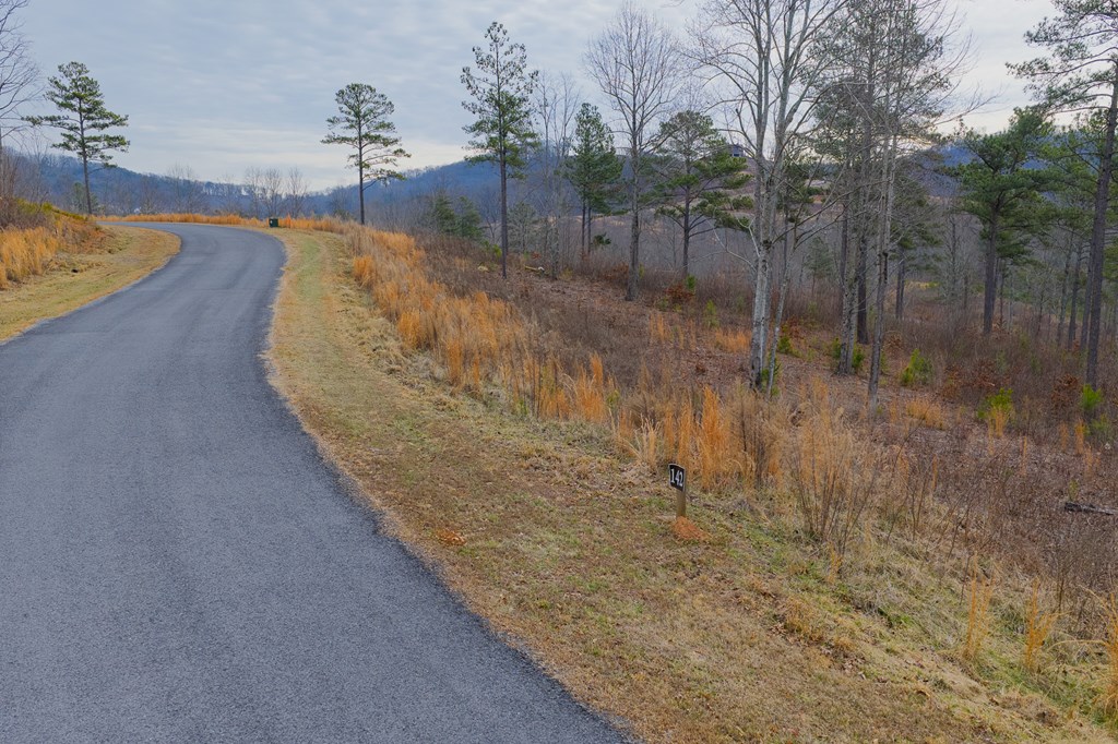 Lot 142 Twisted Oak Road