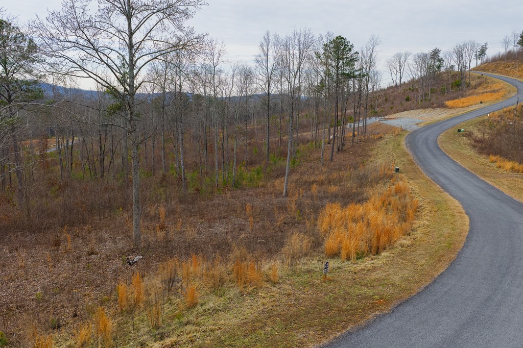 Lot 142 Twisted Oak Road