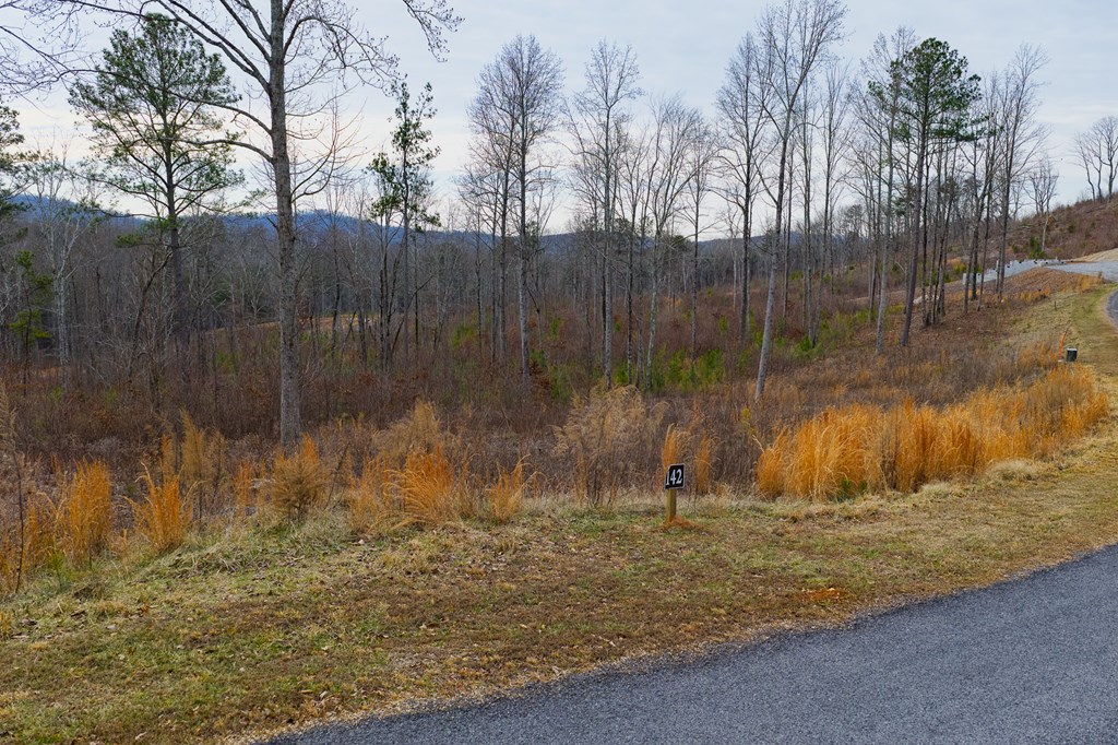 Lot 142 Twisted Oak Road