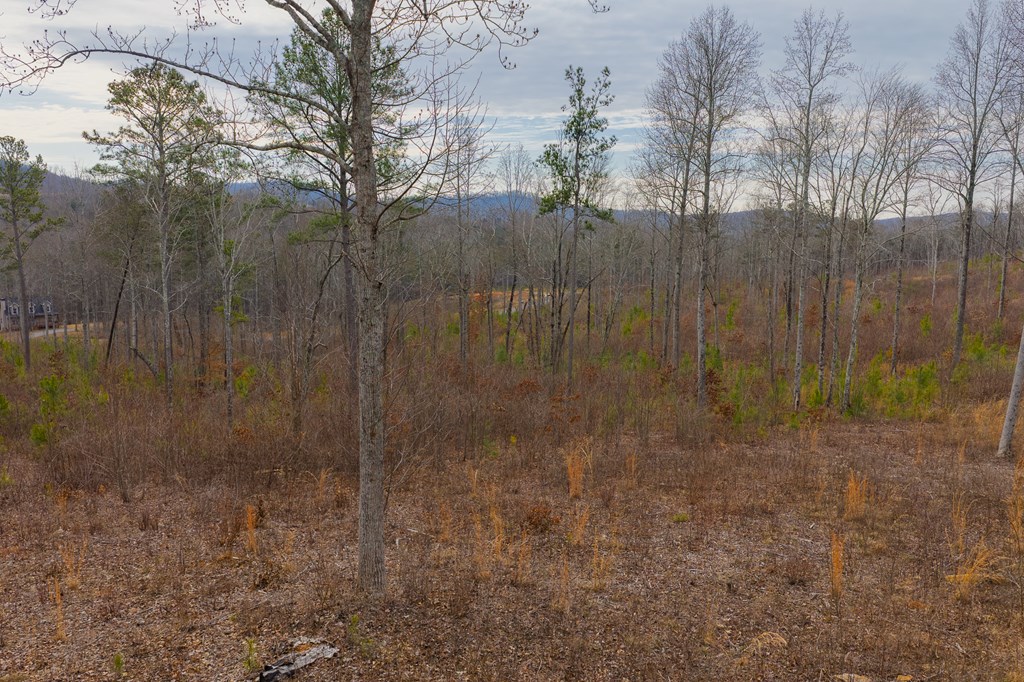 Lot 142 Twisted Oak Road