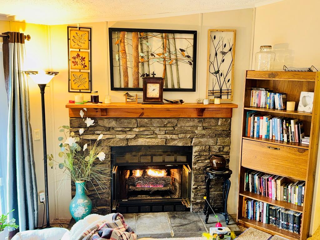 424 Mountain Oak Trail