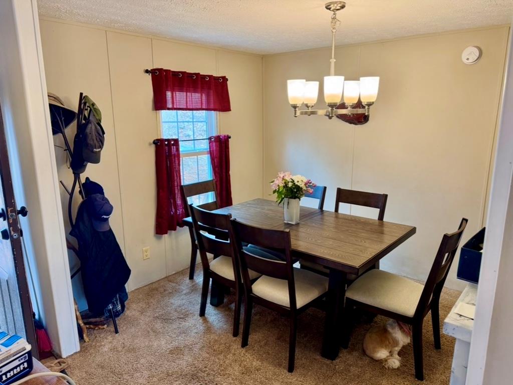 424 Mountain Oak Trail