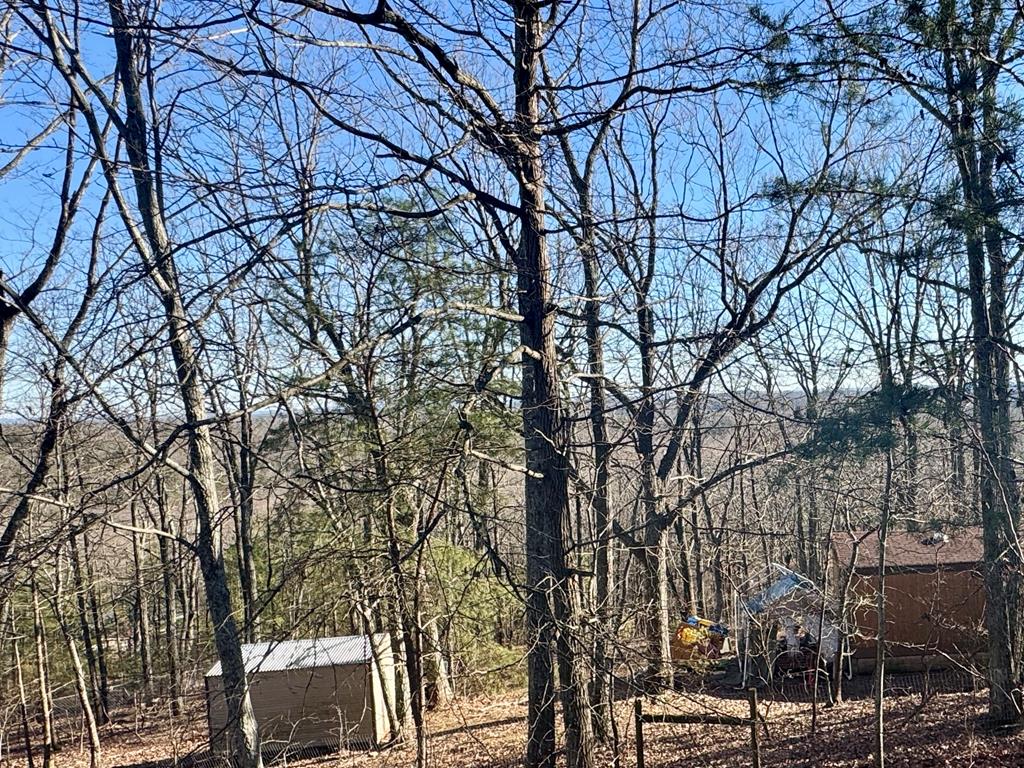 424 Mountain Oak Trail