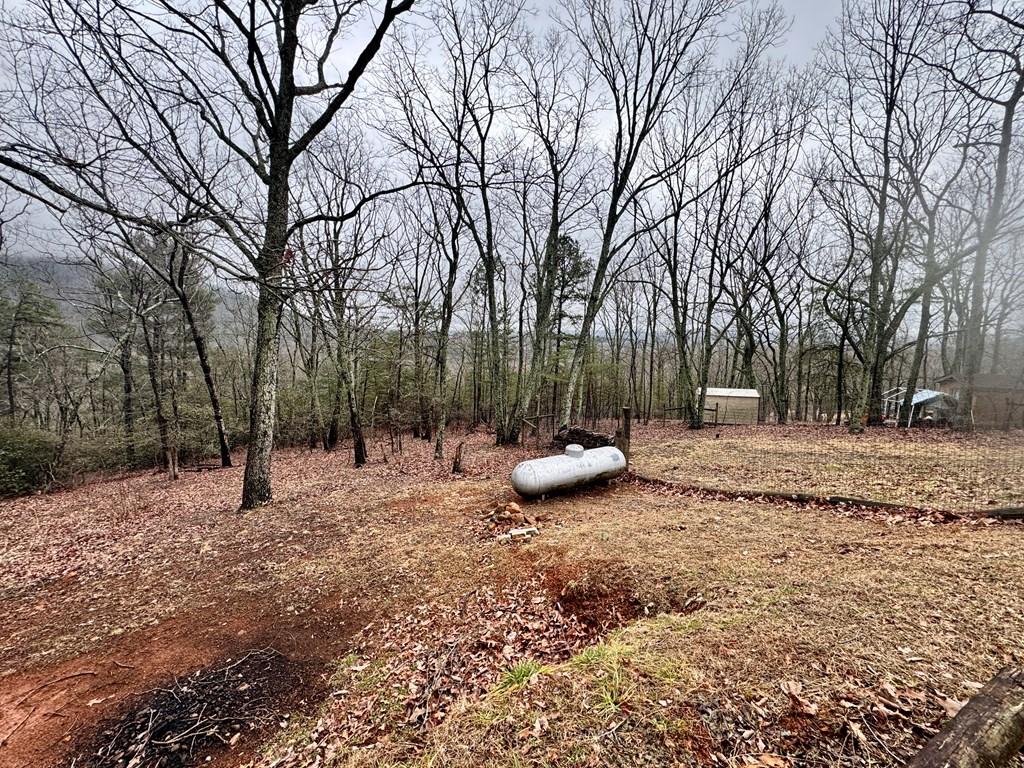 424 Mountain Oak Trail