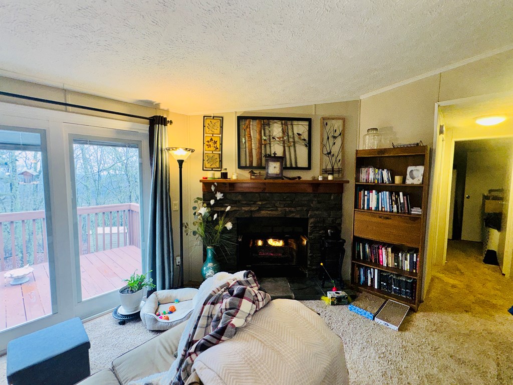 424 Mountain Oak Trail