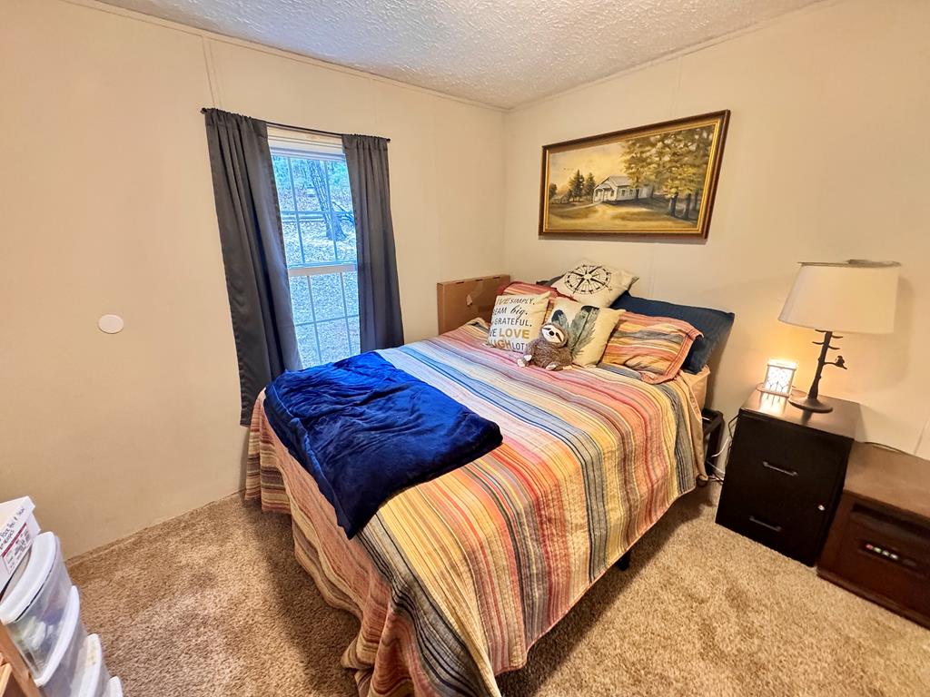 424 Mountain Oak Trail