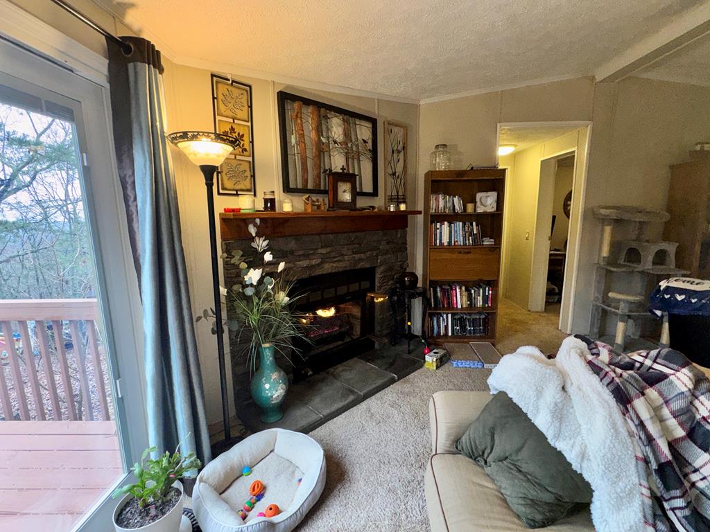 424 Mountain Oak Trail