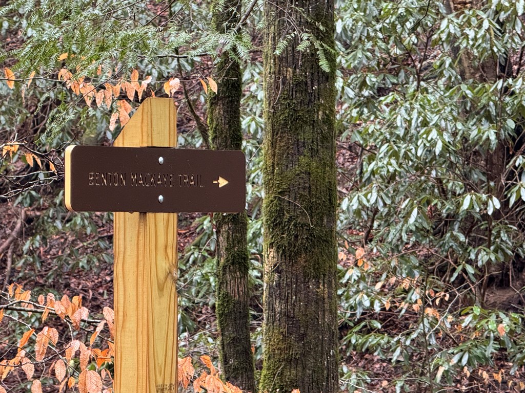 846 Joann Sisson Road