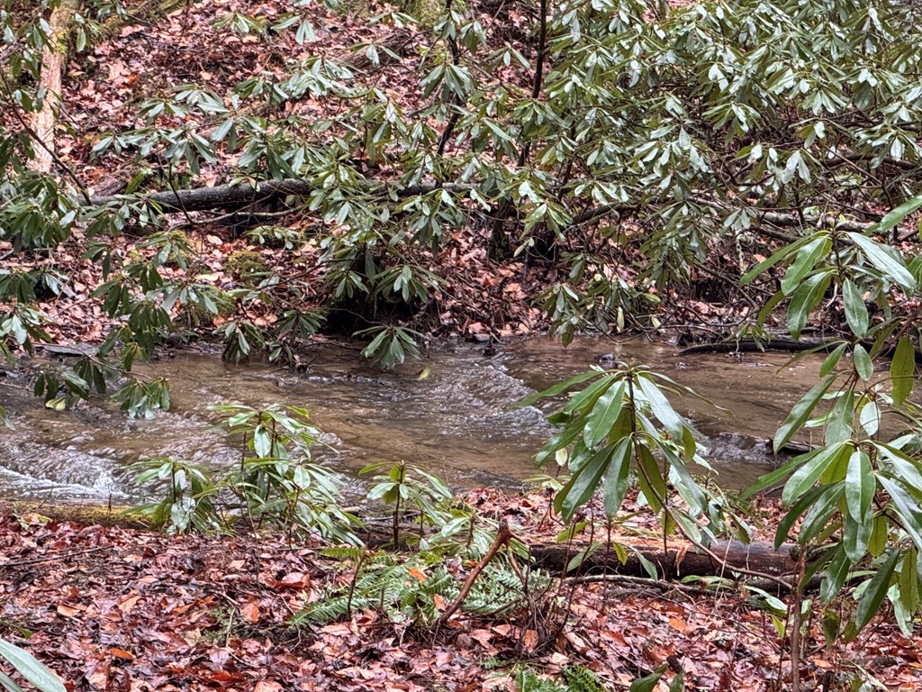 846 Joann Sisson Road