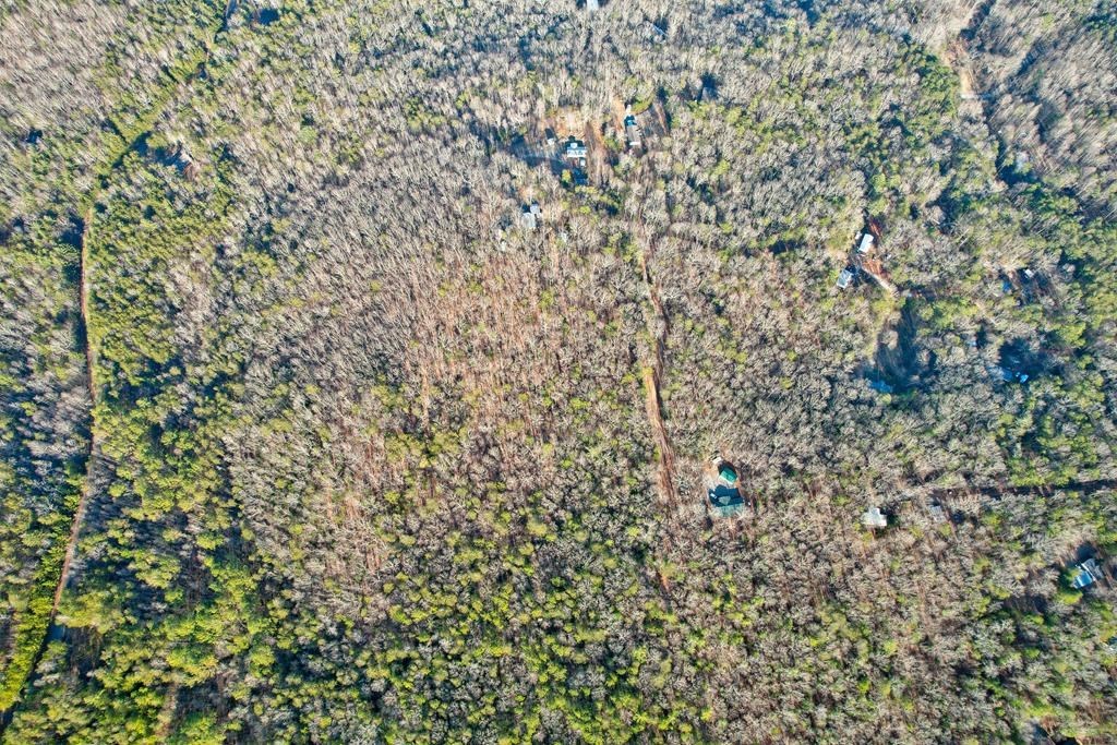 17.67 AC Mt. Mcgruder Road