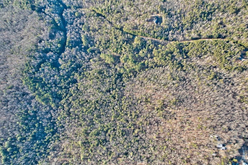 17.67 AC Mt. Mcgruder Road