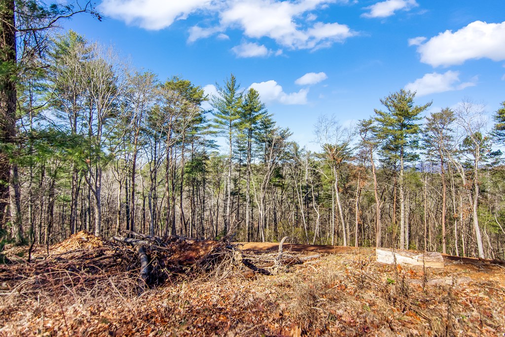 LT 10R Whispering Oaks Drive